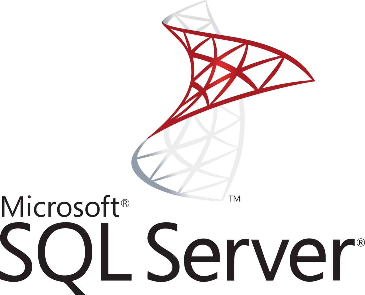 Microsoft SQL Server Logo